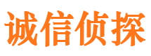 宁武侦探公司